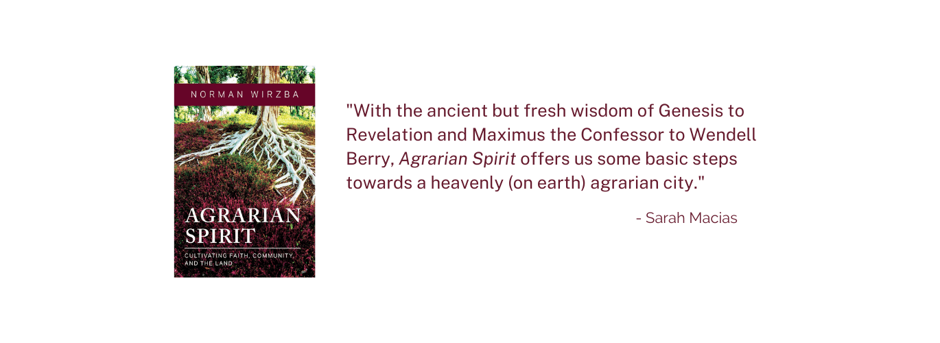 Header for book review