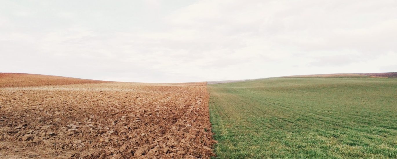 Elizabeth lies YbgPWfWlvkE unsplash