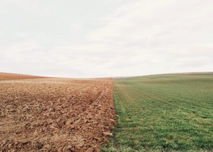 Elizabeth lies YbgPWfWlvkE unsplash