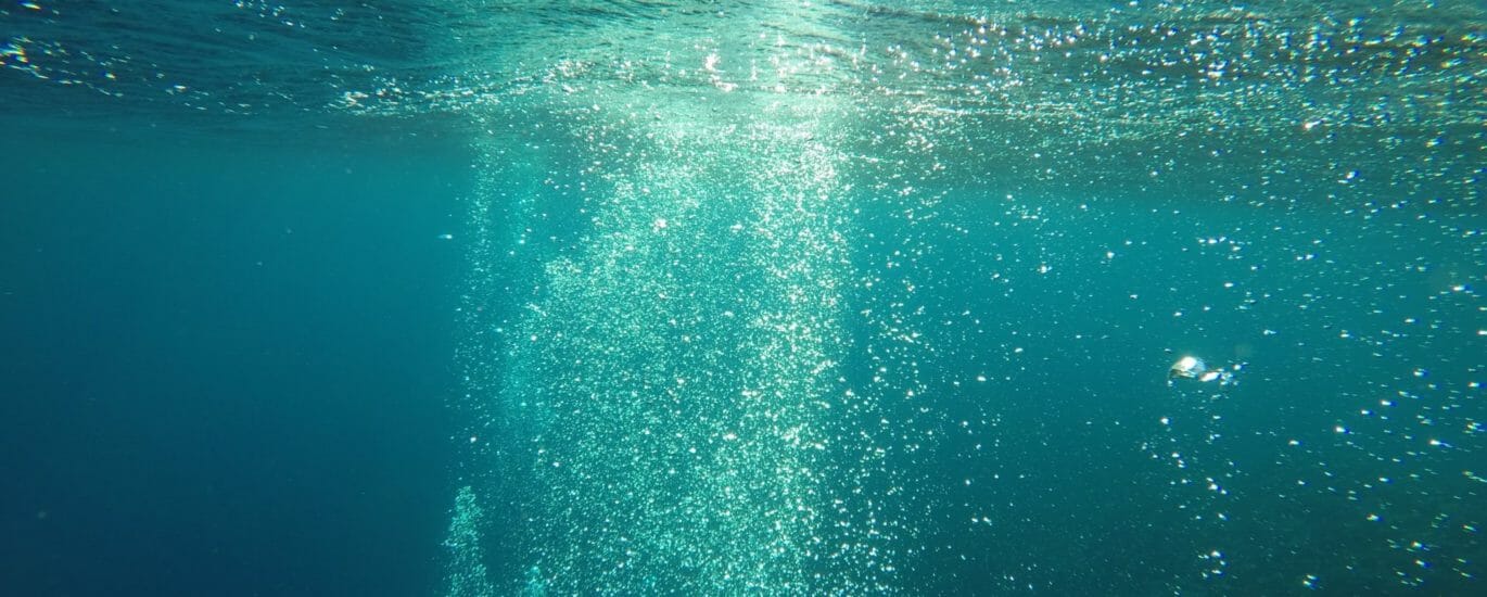 Mostafa ashraf mostafa 2n NlDEAhtk unsplash