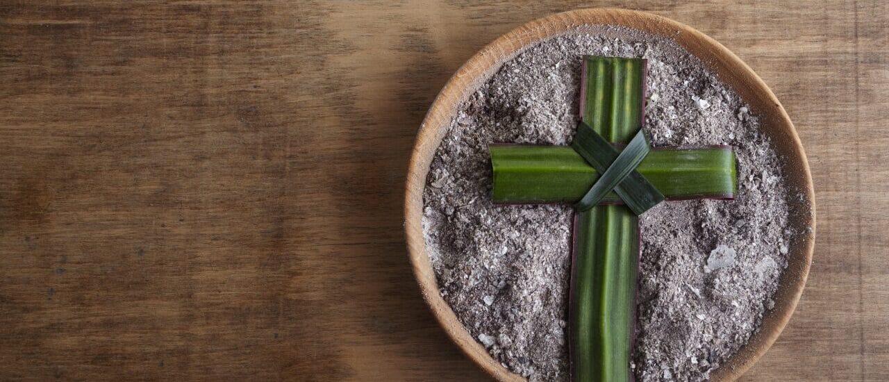 Blog 2025 (YouTube Thumbnail)