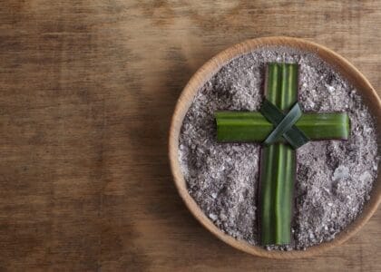 Blog 2025 (YouTube Thumbnail)