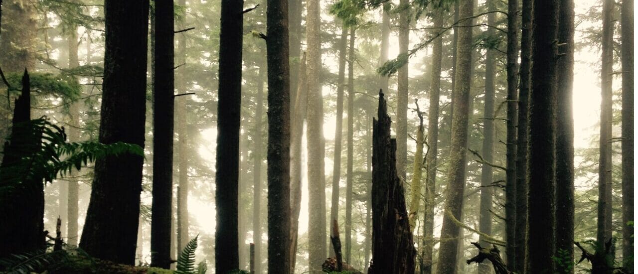 Earth Day (YouTube Thumbnail)