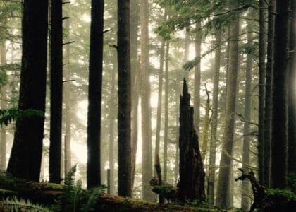 Earth Day (YouTube Thumbnail)