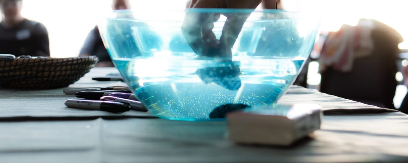 DSC 1506 Enhanced NR